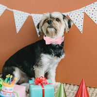 Green Dog Collar with Bow Tie, Christmas Bowtie Dog Collar M – Essentials for Dogs - XL / Pink - image 4