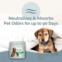 SMELLS BEGONE Air Freshener Odor Absorber Gel - 15 oz, Pack of 2 - Absorbs and Eliminates Odor in Pet Areas, Bathrooms, Cars, & Boats - Made with Essential Oils - Calming Rain Scent