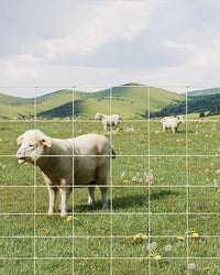 9GA Thickened Heavy Duty Cattle Farm Fence, 4ft x 164ft Galvanized Goat Deer Fence, Heavy Zinc Coating Hog Wire Fencing for Farm Livestock Animals Protection