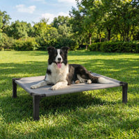 Elevated Dog Bed Raised Cooling Dog Cot for Large Dogs - Grey / 42.0"L x 30.1"W x 8.4"H