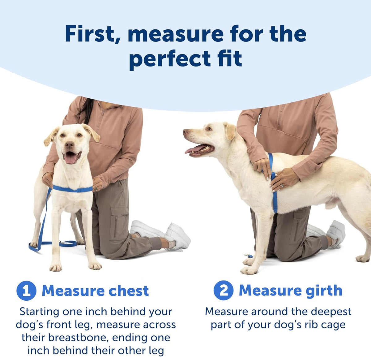 PetSafe Easy Walk Deluxe Dog Harness, No Pull Dog Harness - Medium / Steel - image 4