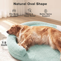 JOEJOY XL Orthopedic Dog Beds Large Sized Dog - Green / L(36"x 27"x 6") - image 3