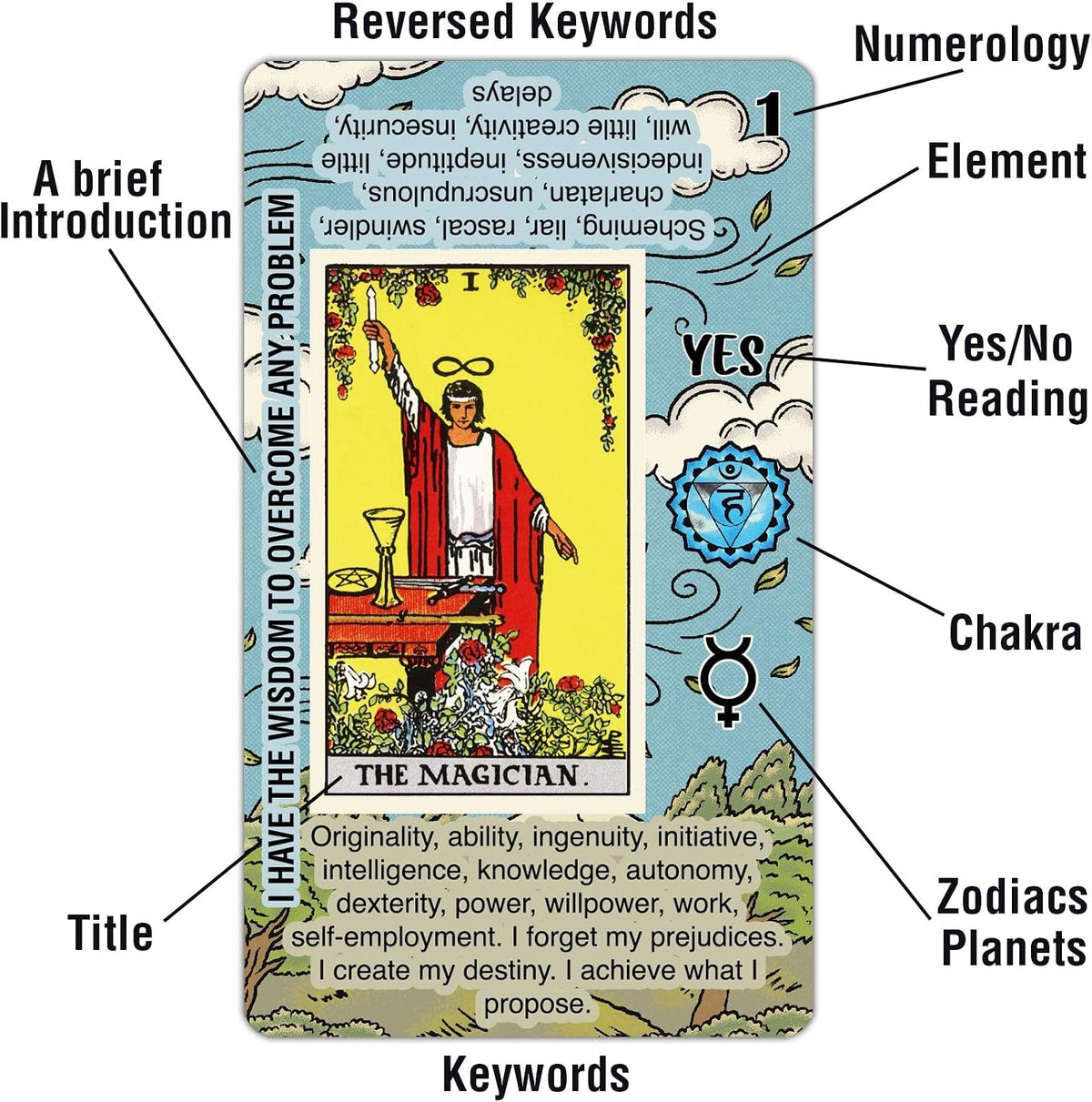 Tarot Cards for Beginners, 78 Cards with Meanings on Them – Fun for Kids & Family - image 2