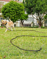 Joytale Long Dog Leash for Yard Tie Out & Recall Training - Black / 15FT - image 2