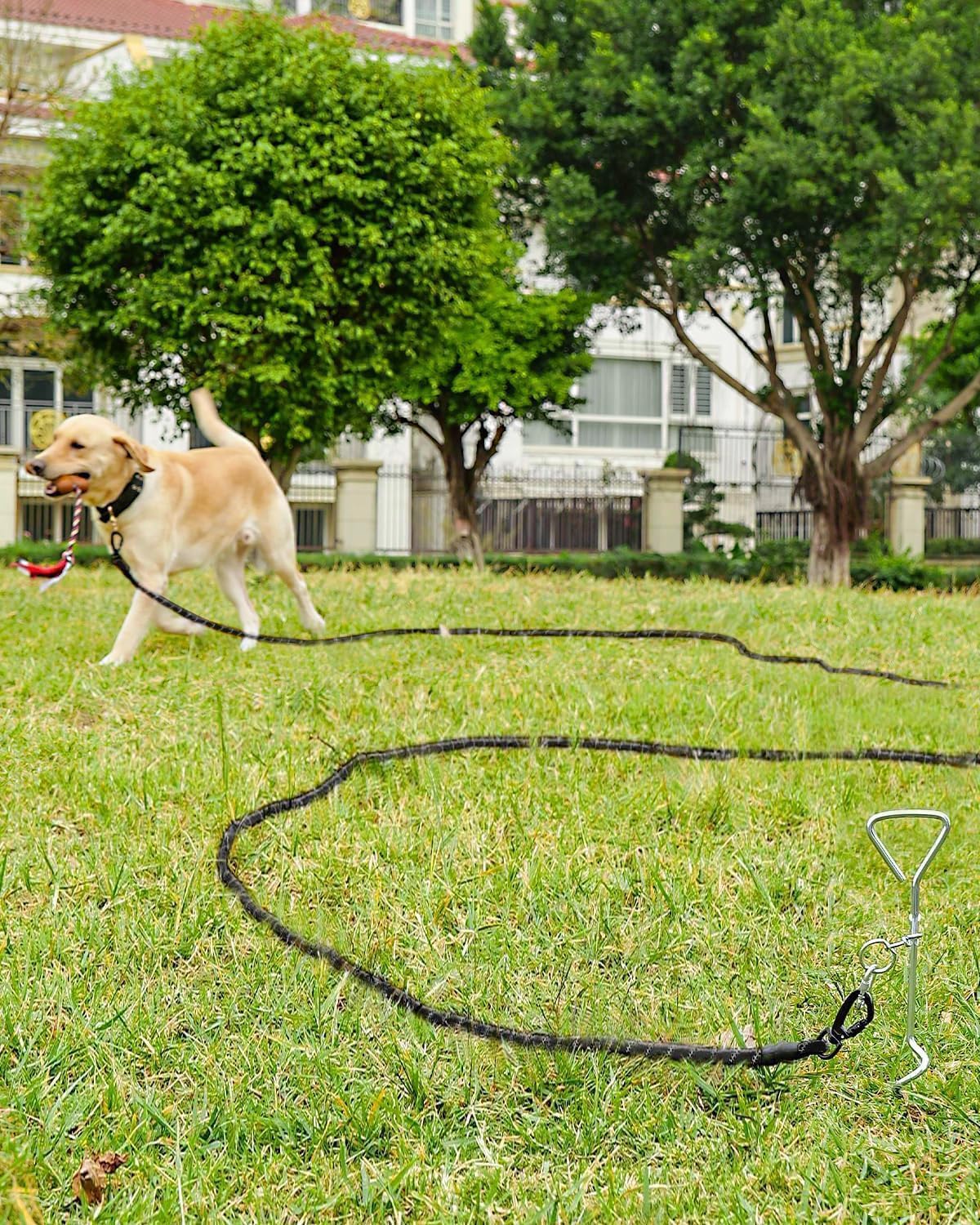 Joytale Long Dog Leash for Yard Tie Out & Recall Training - Black / 15FT - image 2