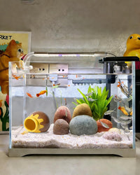 Pink Aquarium Decor Ceramic Cute Strawberry Betta Fish Tank Cave – Essentials for Fish - Honey-brown / Honey - image 2