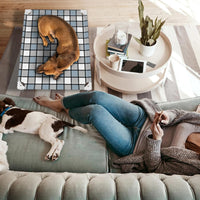 Caghash Elevated Outdoor Raised Dog Bed - Standard - Medium - image 3
