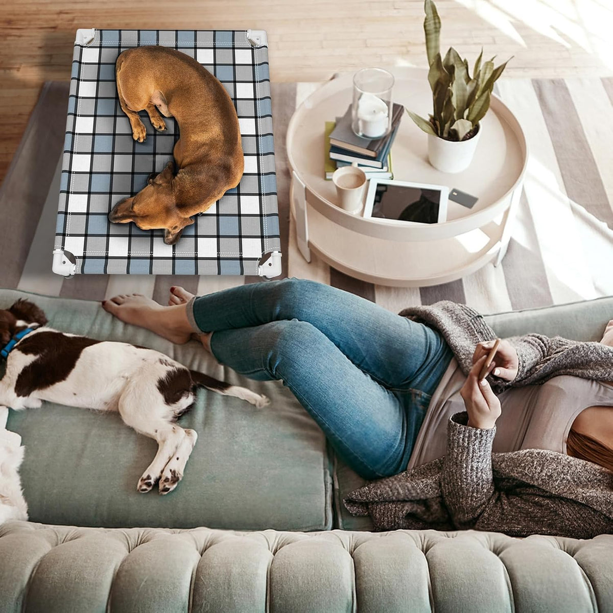 Caghash Elevated Outdoor Raised Dog Bed - Standard - Medium - image 3
