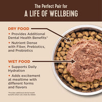 Wellness CORE+ Adult Dry Cat Food for Indoor & Outdoor Cats, Grain Free, Natural, Healthy Weight, Chicken and Chicken Meal (4.75 Pound Bag)