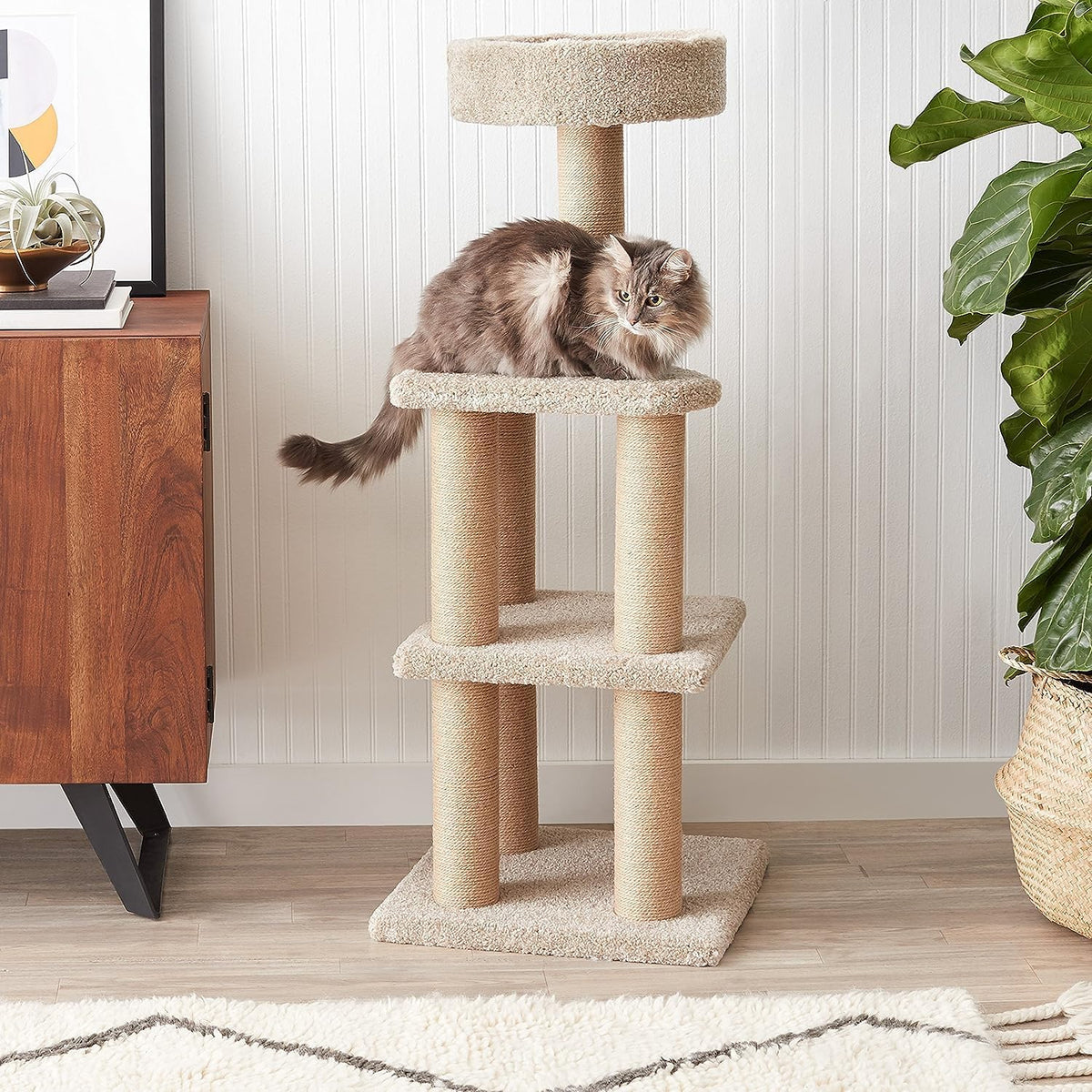 Amazon Basics Cat Tree Tower - image 4