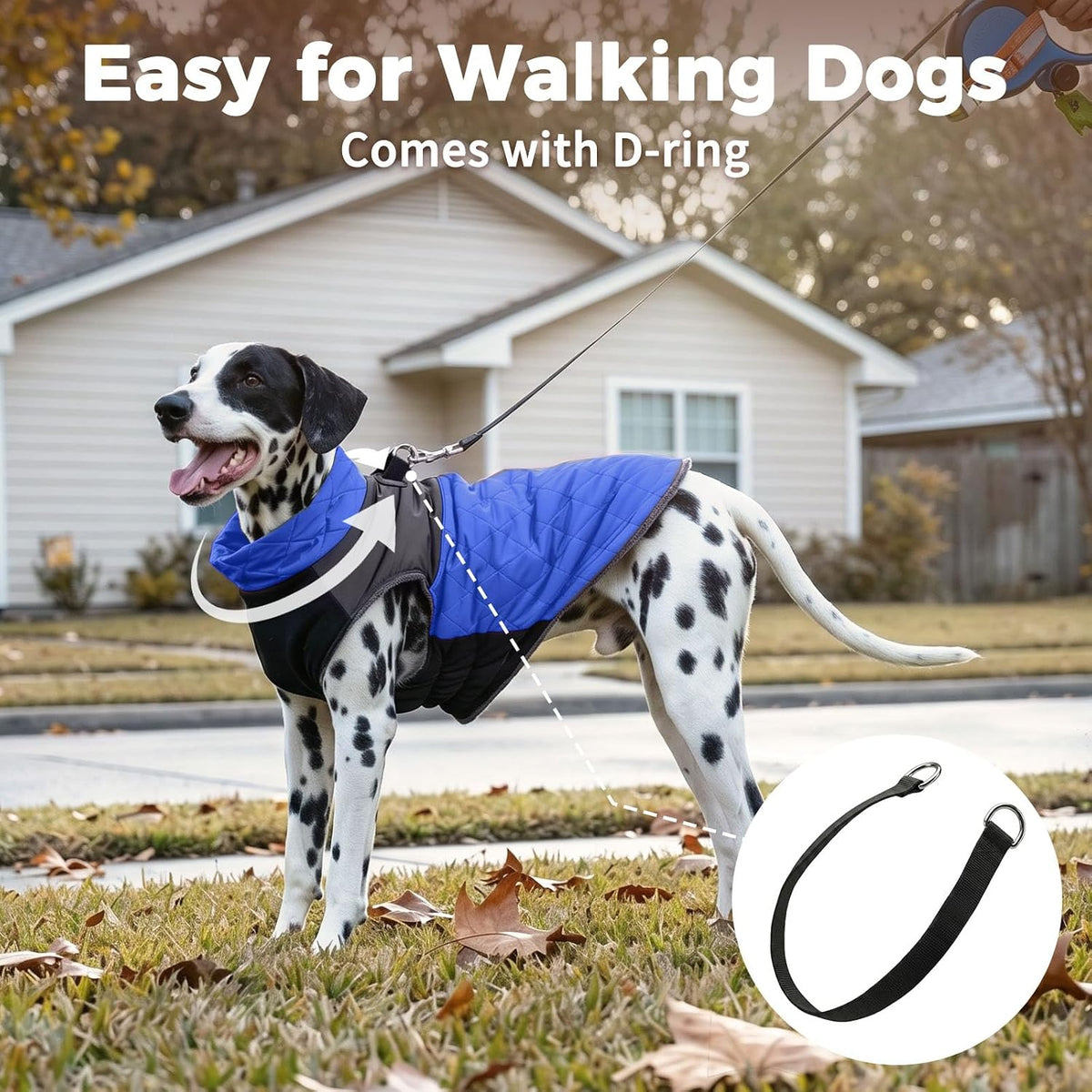 Winter Dog Coats for Small Dogs, Puppy Jacket with Harness - Blue(Standard) / Large - image 4