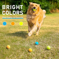 Prime Pets Squeaky Balls for Dogs, 2.5 Inch Dog Squeaky Toys, Interactive Dog Toy Tennis Balls for Indoor Outdoor, Squeak Toys for Medium, Large Dogs