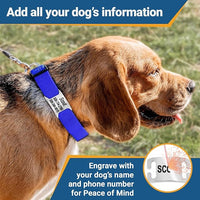 GoTags Personalized Dog Collar with Nameplate, Adjustable Dog Collar with Custom Engraved Slide On Pet ID Tag in Stainless Steel, Silent, No Noise Dog Tag (Lavender, X-Small)