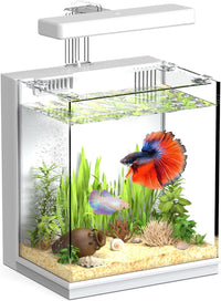 Beta Fish Tank, for Men, Fish Tanks for Kids & Starter - moon White