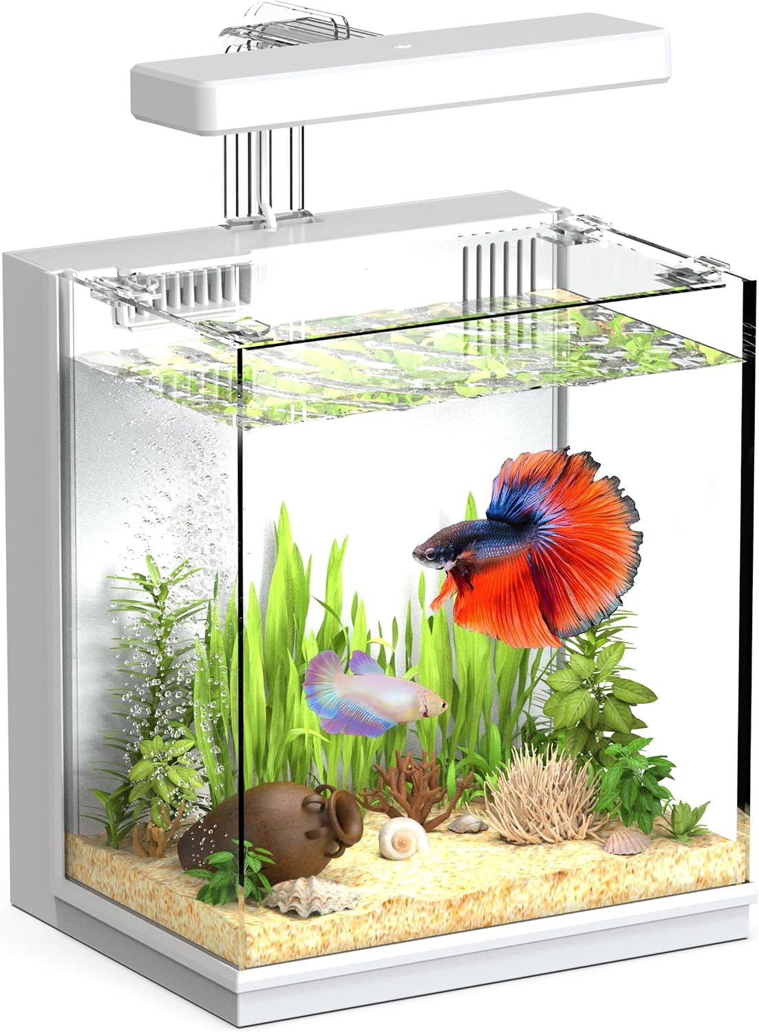 Beta Fish Tank, for Men, Fish Tanks for Kids & Starter - moon White