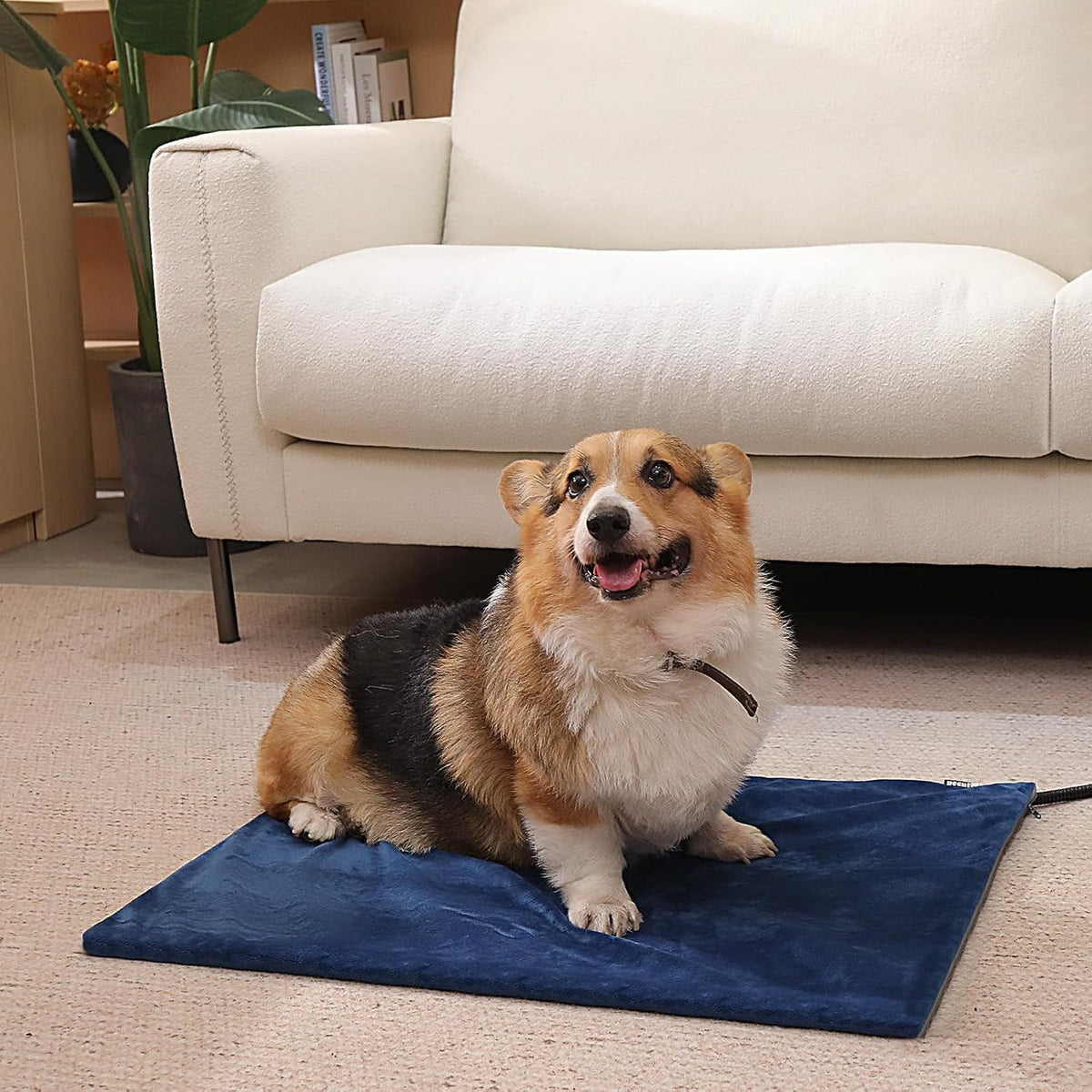 Pecute Pet Heating Pad with Chew Resistant Cord - Constant Temp / 19.7"L x 15.7"W x 0.2"Th - image 3