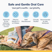 Proden PlaqueOff Sytem Mini Dental Care Bones - Peanut Butter Banana - 12 oz, Brown