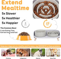 Elevated Slow Feeder Dog Bowls with Splash Proof Stand - Medium / Grey - image 2