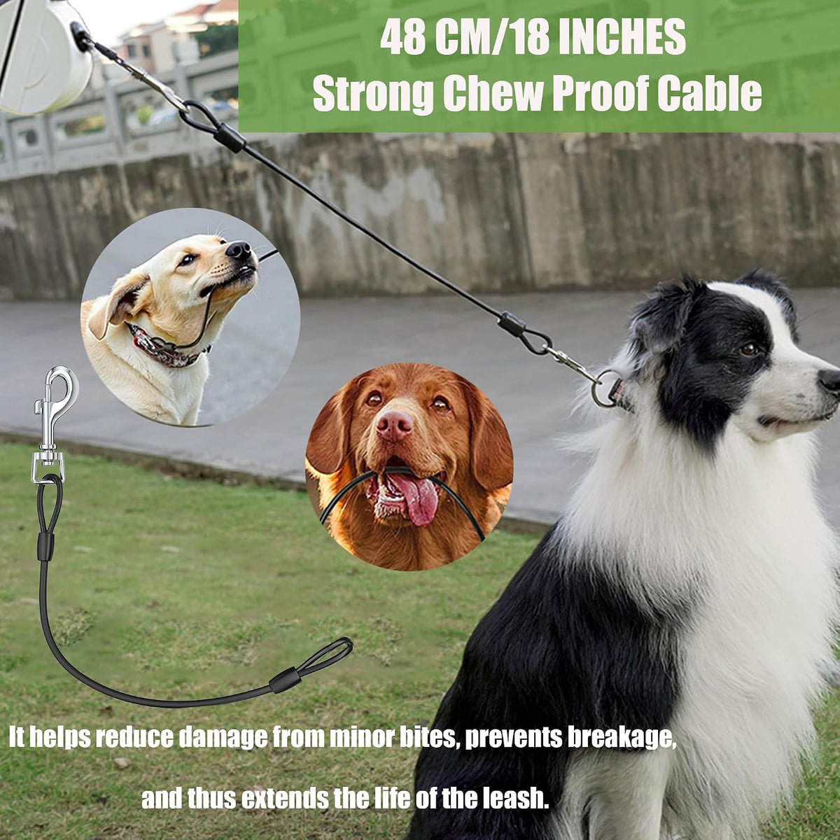 4-in-1 Retractable Dog Leash with LED Light & Dispenser & Poop Bags – Essentials for Dogs - M - With chew proof cable - image 4