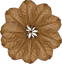 SunGrow Snake Leaf Litter - image 2
