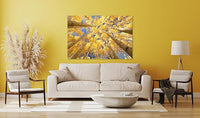 Nature Wall Art Prints - Ocean Forest Mountain Lake Canvas Landscapes - Small to Extra Large Living Room Bedroom Kitchen Bathroom Décor (Reaching for the Sky, 16L" x 24W")
