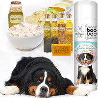 The Blissful Dog .50 oz Tube Bernese Mountain Dog Booboo Butter