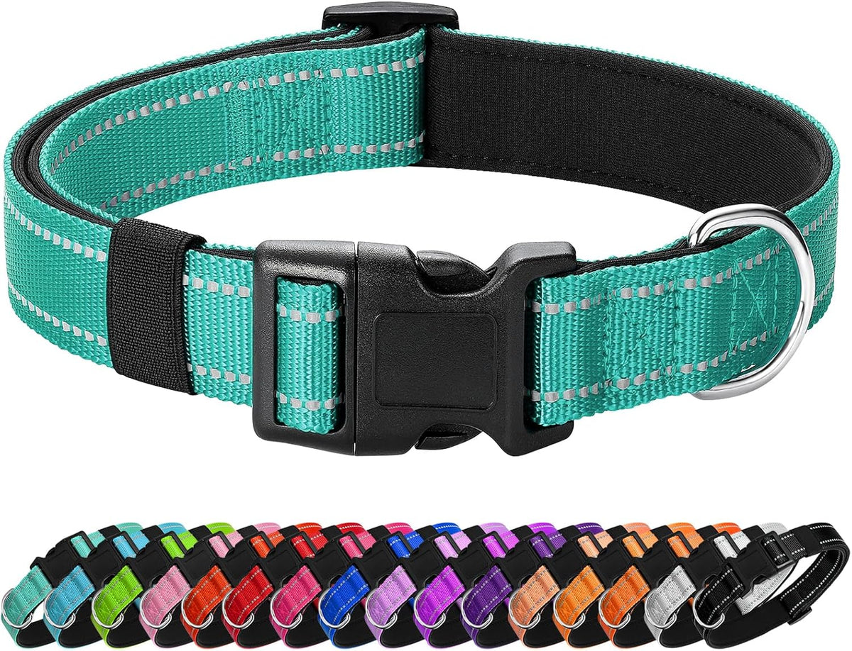 Reflective Dog Collar, Adjustable Nylon for Medium Dogs - Teal / S:width 5/8"neck 10.5-16"