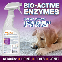 OdorPet Pet Stain Remover and Odor Eliminator - 16 Oz Ready To Use Spray, Non Staining, Professional Strength, Black Cherry Scent by Alpha Tech Pet