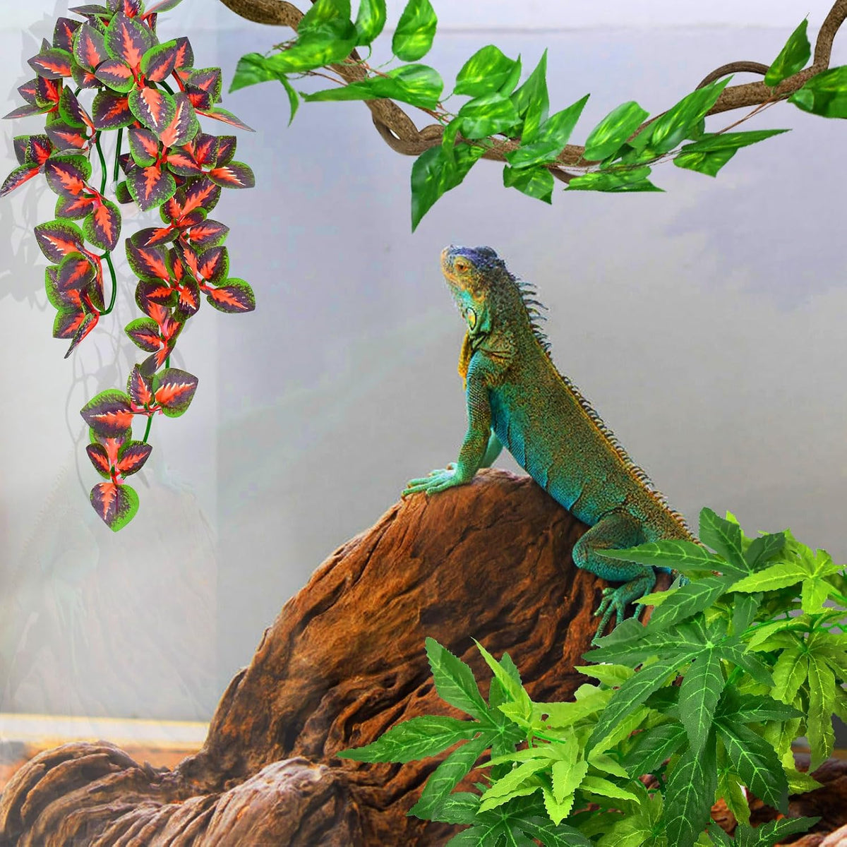 KATUMO Reptile Plants, Bearded Dragons, Lizards, Geckos, Toads - Green+fire Red - image 4