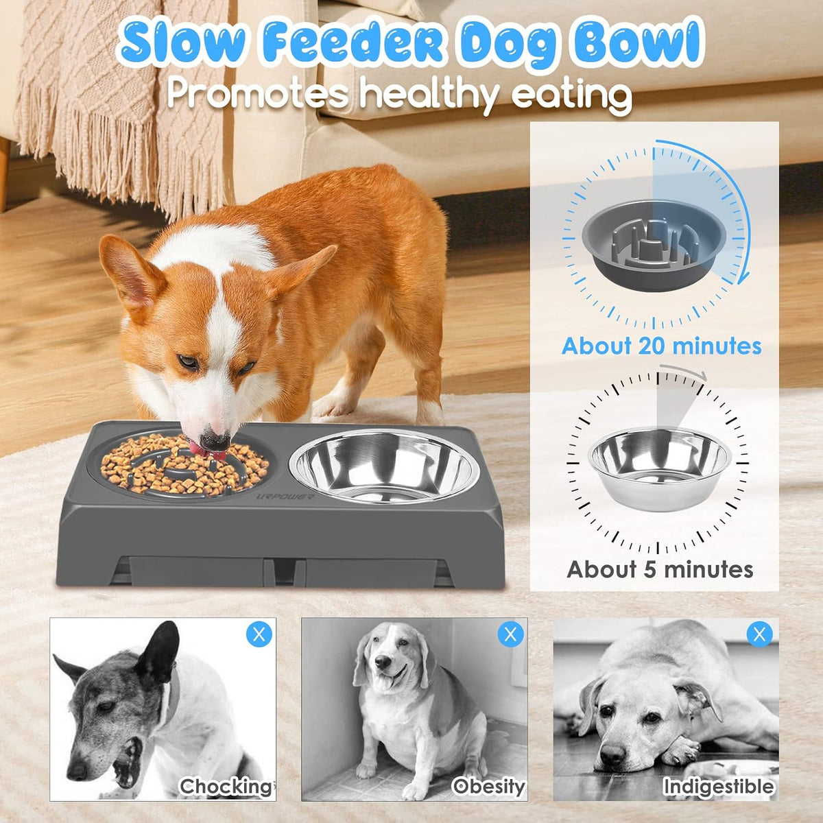 URPOWER Raised Dog Bowls 4 Height Adjustable Elevated Bowl Stand – Essentials for Dogs - Dark Grey - image 4