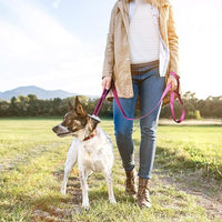 TwoEar 6FT 1IN Strong Rose Dog Leash with 2 Padded Handles, Traffic Handle Extra Control, Comfortable Soft Dual Handle, Auto Lock Hook, Reflective Walking Lead for Small Medium and Large Dogs