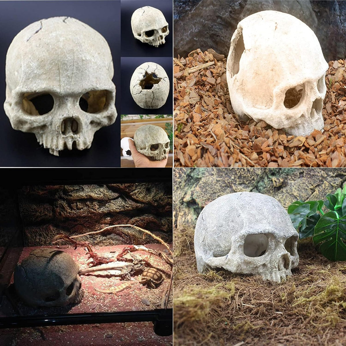 Reptiles Skull Hide Decorations Bearded Dragon Tank Accessories - Human Skull+Vine+Rattan+Leaf - image 2