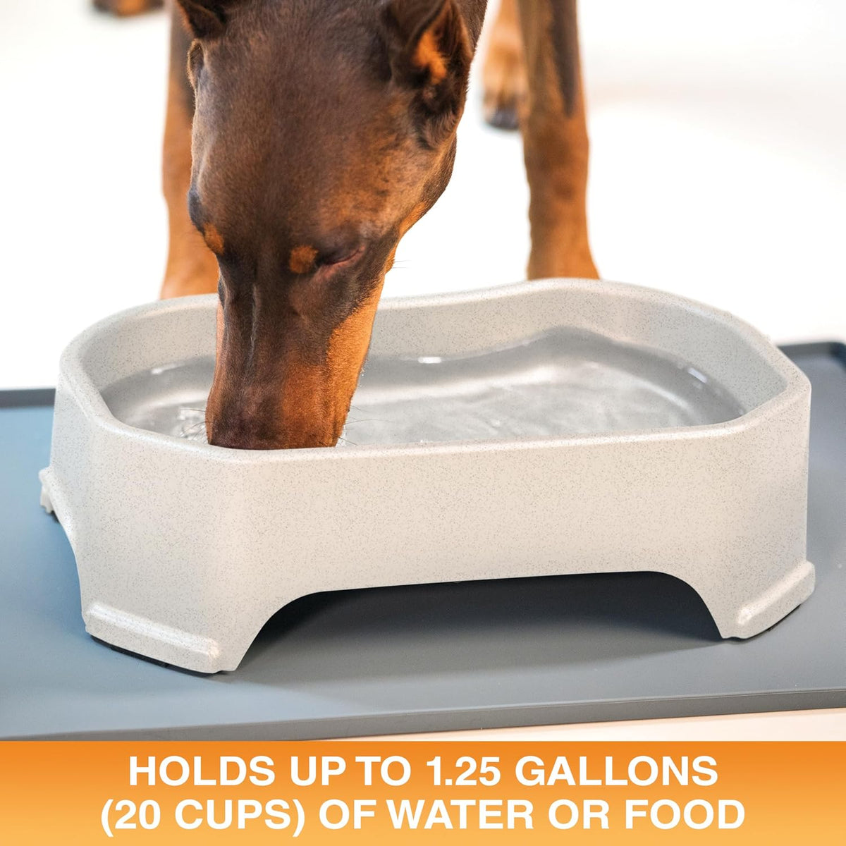 Neater Pet Brands Extra Large Water Bowl for Dogs - 1.25 Gallons / Vanilla Bean - image 2