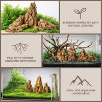 6.1-8.1 Inches Natural Dragon Stone, Terrariums - 2.2-8.1 in - image 4