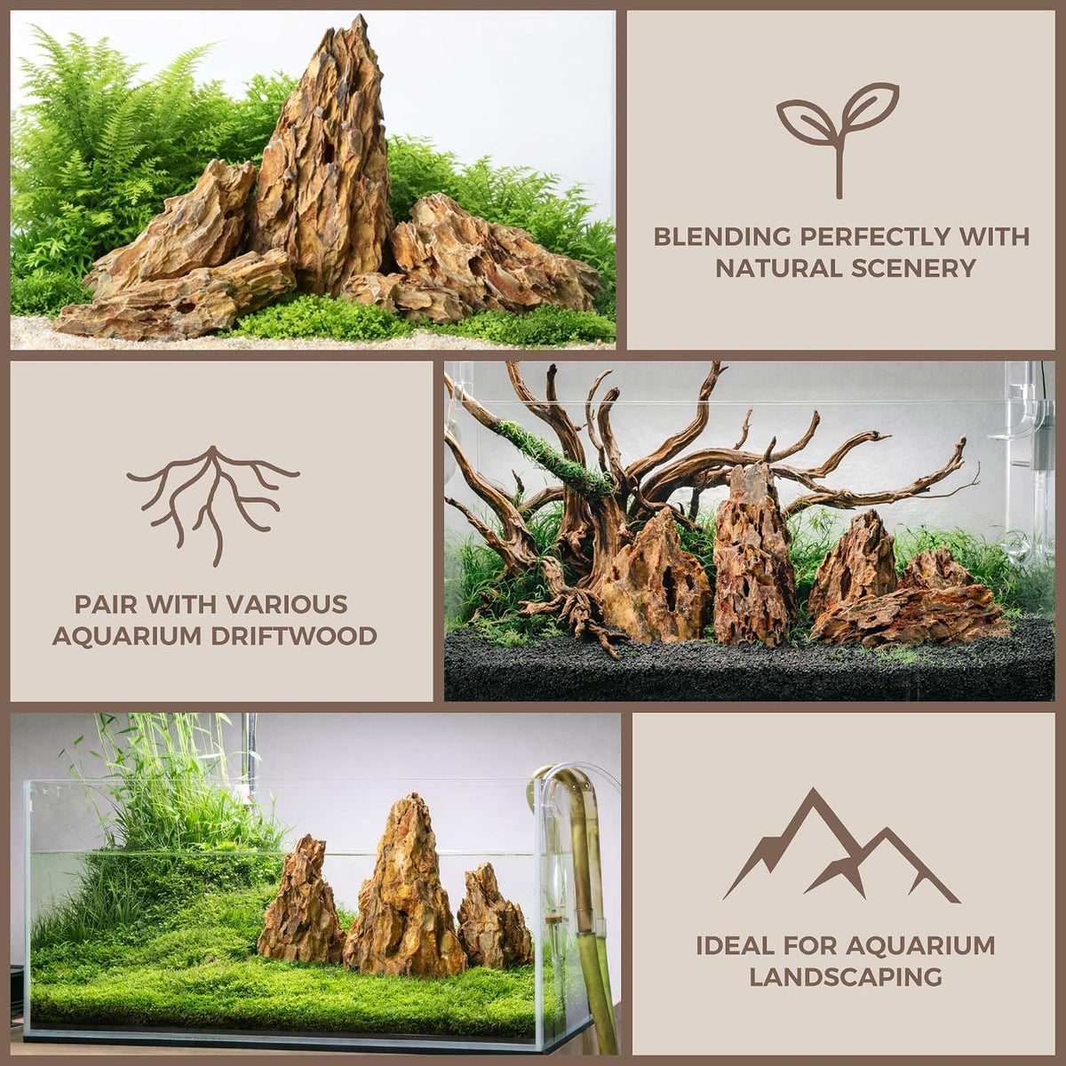 6.1-8.1 Inches Natural Dragon Stone, Terrariums - 2.2-8.1 in - image 4