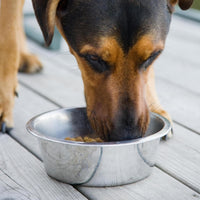 Stainless Steel Dog Bowl 2-Pack Pet Feeder Bowls 10 Cup – Essentials for Dogs - 10 Cups - image 4