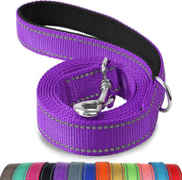 Joytale Reflective Dog Leash for Medium & Large Dogs - 5 ft Standard / Purple