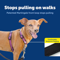 PetSafe 3 in 1 No-Pull Dog Harness, Walk, Train or Travel - Plum / Extra Small (Pack of 1) - image 3