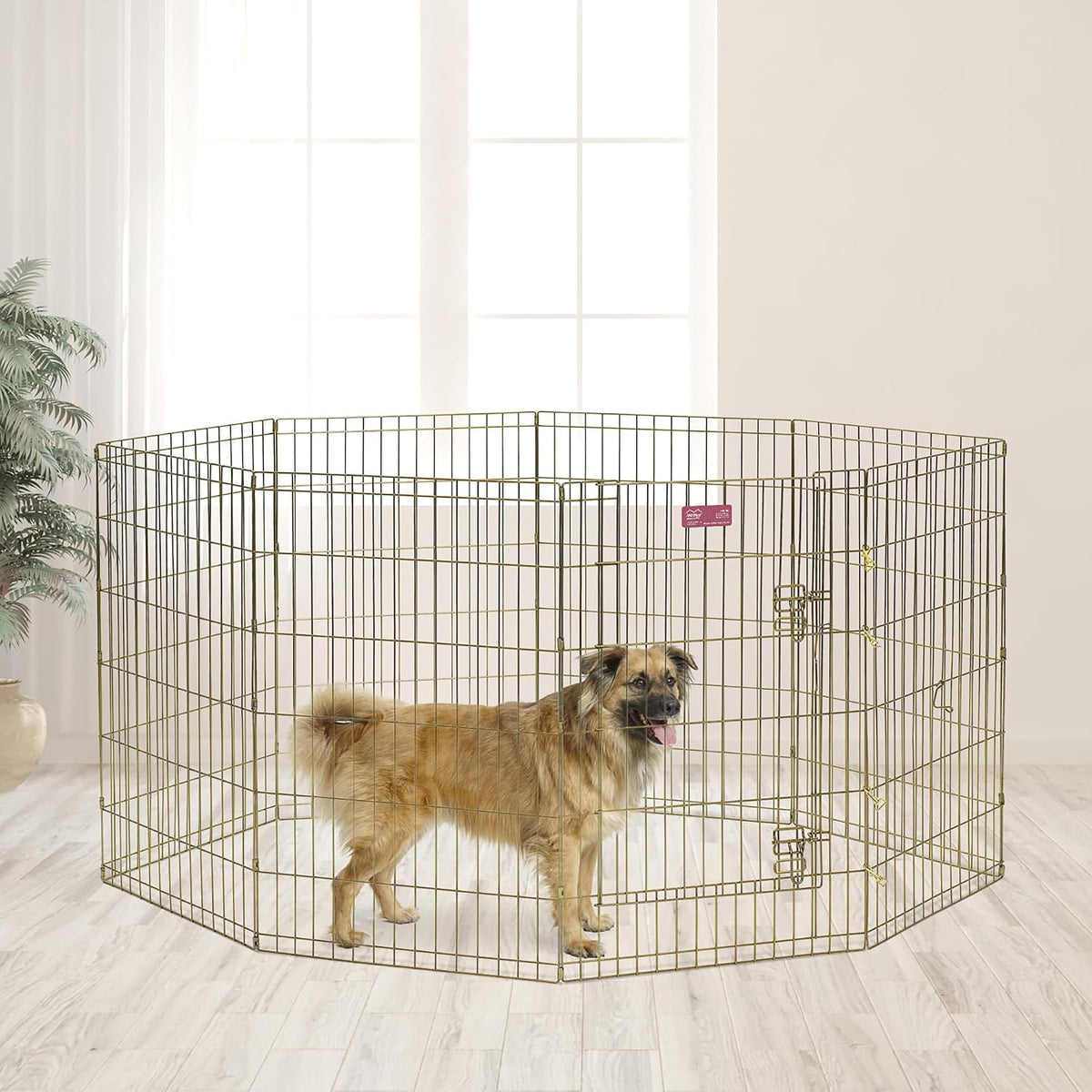 MidWest 30-Inch Exercise Pen, Single Door, 16 Sq Ft Play Area – Essentials for Dogs - Gold Zinc w/ Door / 36" H - image 3