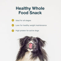 JustFoodForDogs Healthy Dog Treats, Limited-Ingredient, Chicken Apple Bark, Made in The USA, 5 oz