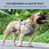 Dog Harness with Leash Set, No Pull Adjustable Step in Pet Vest – Essentials for Dogs - Gray / Medium - image 2