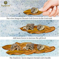 SunGrow 50 Pack Leaf Litter for Spider, Cricket & Isopod - Large - 10Pcs - image 4
