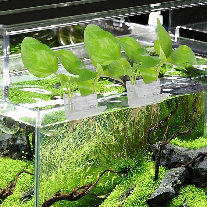 3 Holes Upgraded Aquatic Plant Cup Aquarium Plant Holder for Tank,Hanging Aquarium Plant Holder,Aquarium Aquatic Plant Cultivation,Aquarium Plant Decoration. (White 2PCS)