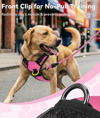 Joytale No Pull Dog Harness Medium Sized Dog, Front Clip - X-Large / Pink - image 2