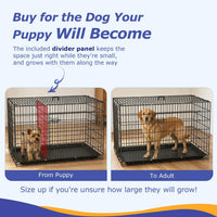 FDW, 48" Foldable Metal Dog Crate, Cage for XL Dogs - Dark Black / 48 Inch Double Door - image 3