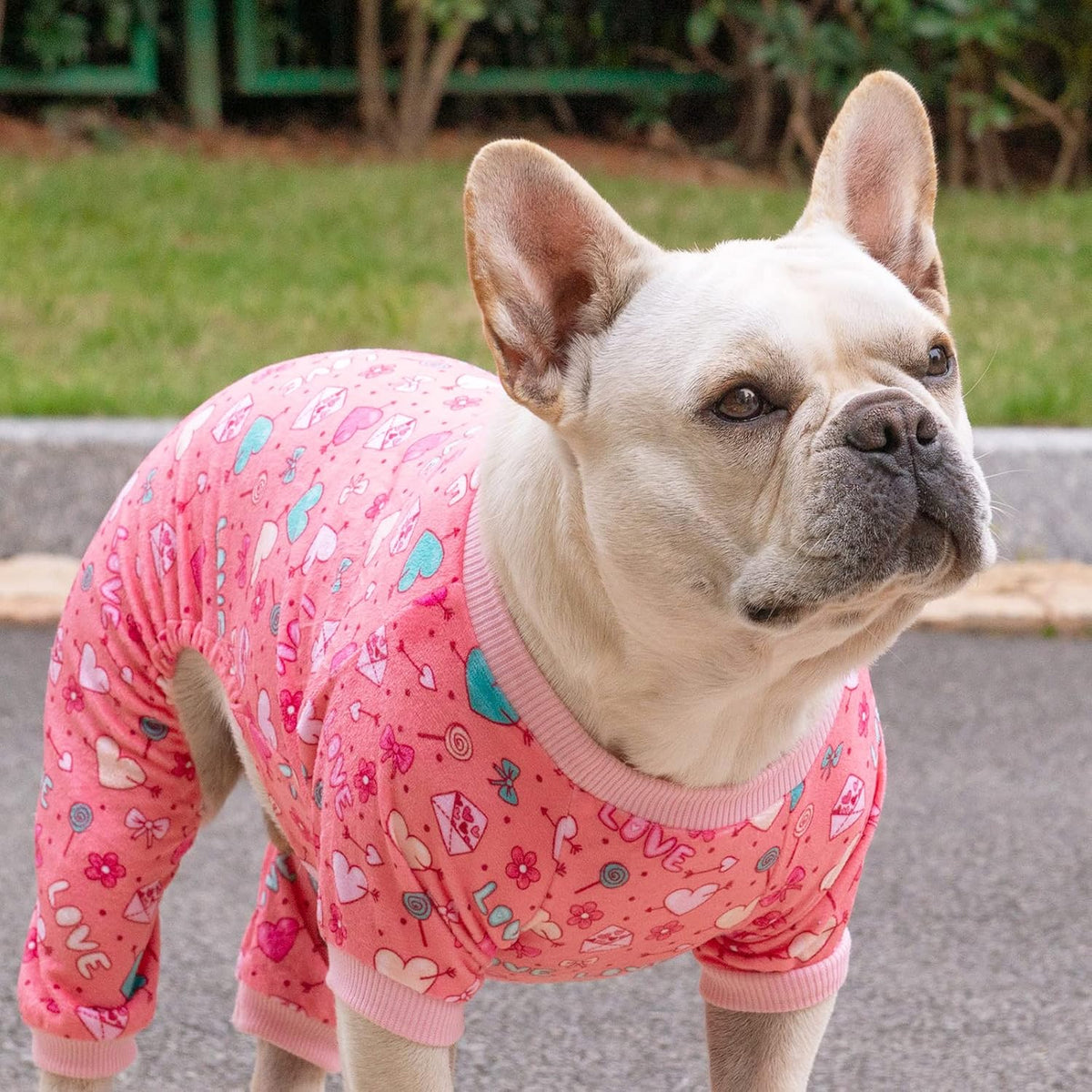 CuteBone Dog Halloween Pajamas Puppy Onesies Small Dogs Soft Pjs Coat - X-Small / Cupid pink - image 3