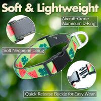 Medium Dog Collar, Neck 12"-20" - Large (Neck 16’’-25’’) / Watermelon - image 3