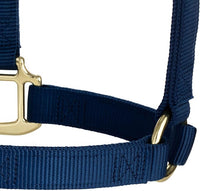 Weaver Equine Nylon Horse Halter, Triple-Ply Cheek Design, Original Non Adjustable Halters for Horses, Equine Tack,Average Size, Black