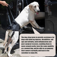 Dog Lift Harness for Dogs with Disabled Arthritis and Weak Back Legs, humanized Design with Comfortable Materials, Adjustable Back Legs and Straps, Suitable for Helping Dogs to Recover and Walk. (L)