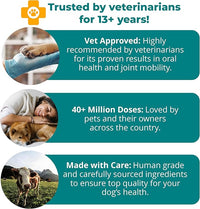 1TDC WorksSoWell Dual Action Joint Supplement for Dogs & Cats - Hip and Joint Supplement for Large Breed & Small Breed - Also Great for Oral Health - Muscle & Stamina Recovery & Arthritis - 30ct